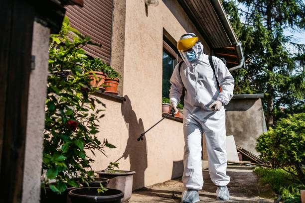 Best Emergency Pest Control  in Byesville, OH