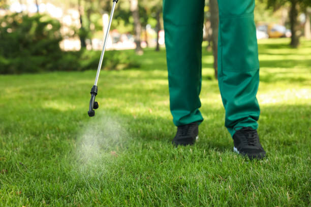 Best Flea Control Services  in Byesville, OH