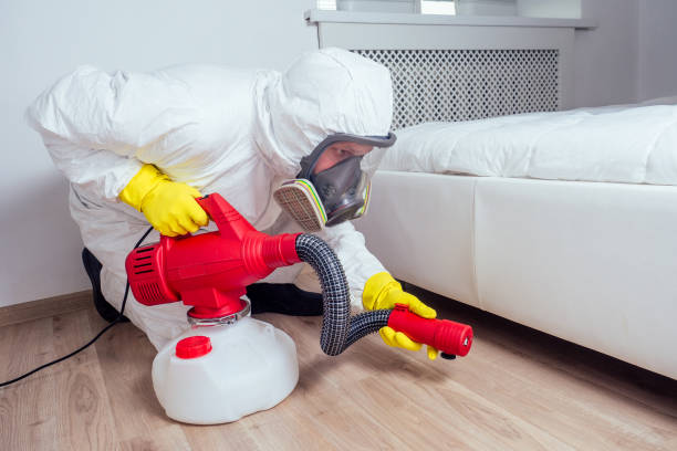 Best Pest Inspection Near Me  in Byesville, OH