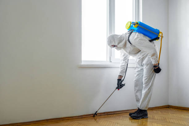 Best Pest Removal Services  in Byesville, OH