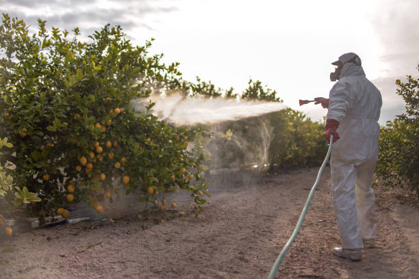 Best Insect Control  in Byesville, OH