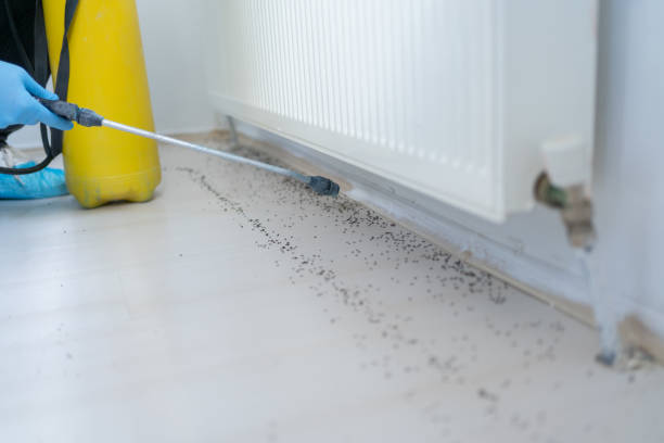 Best Emergency Pest Control  in Byesville, OH