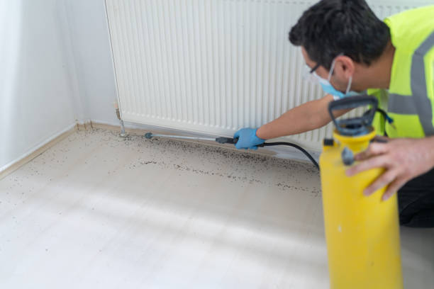 Best Residential Pest Control  in Byesville, OH