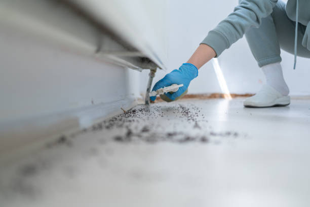 Best Local Pest Control Services  in Byesville, OH