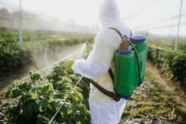 Best Best Pest Control Companies  in Byesville, OH